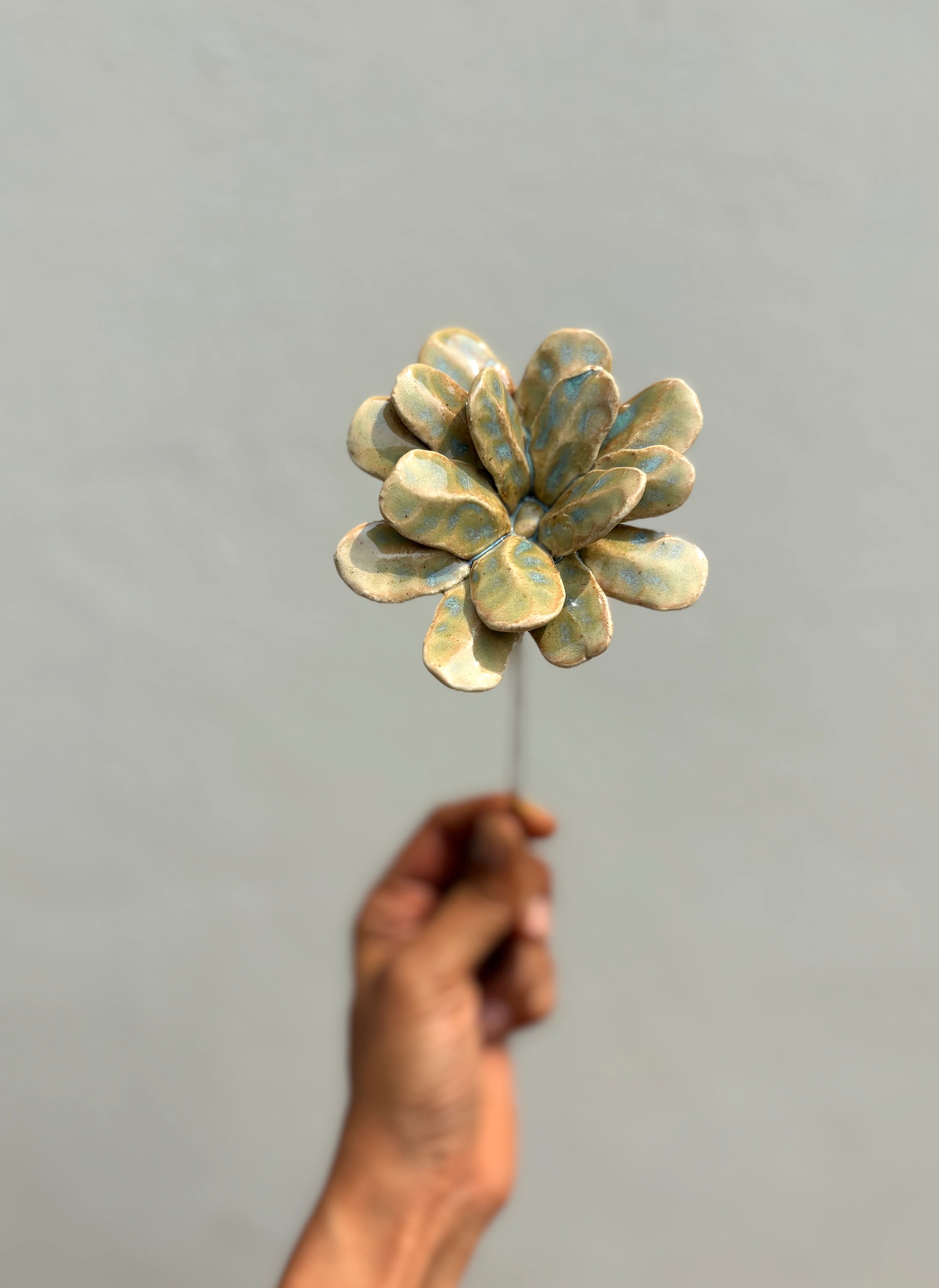 Soft Flame Algae - Single Flower Stem