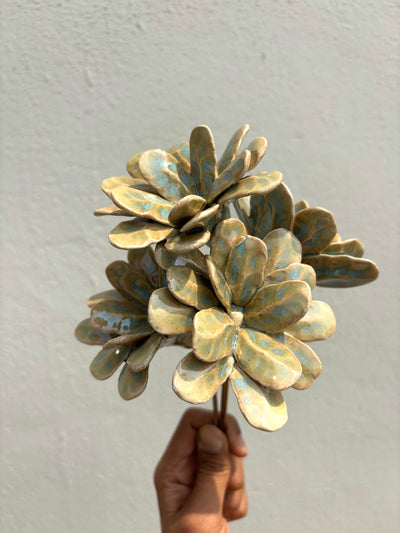Soft Flame Algae - Single Flower Stem