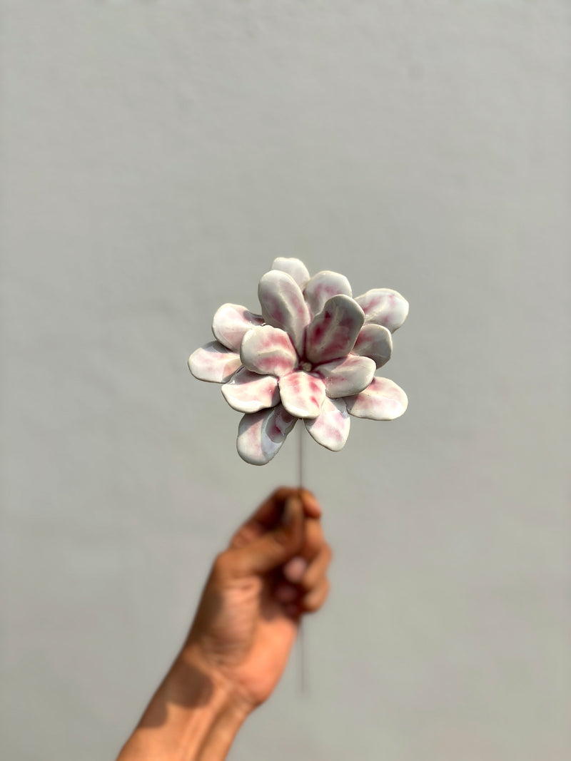 Soft Flame Blushing pink - Single Flower Stem