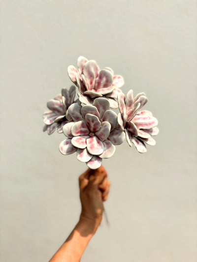 Soft Flame Blushing pink - Single Flower Stem