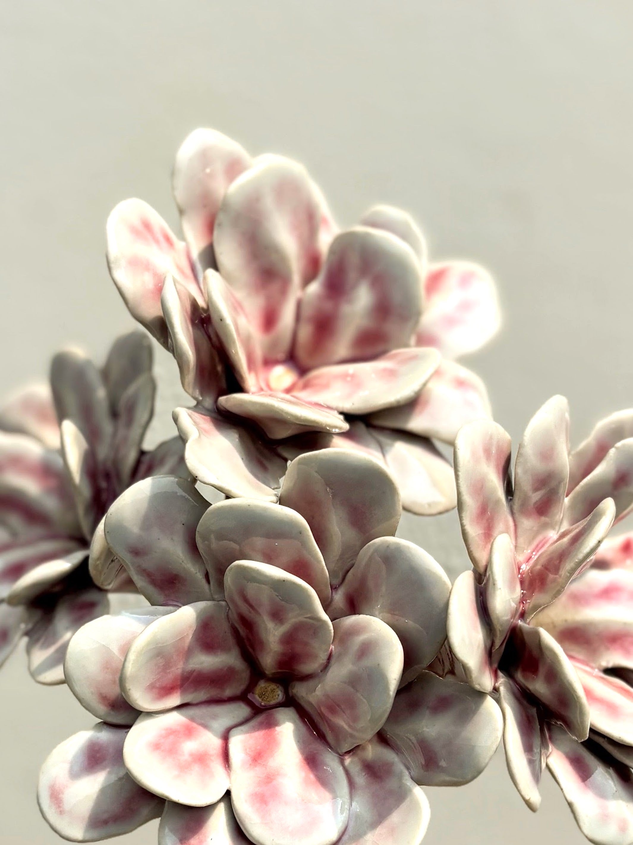 Soft Flame Blushing pink - Single Flower Stem