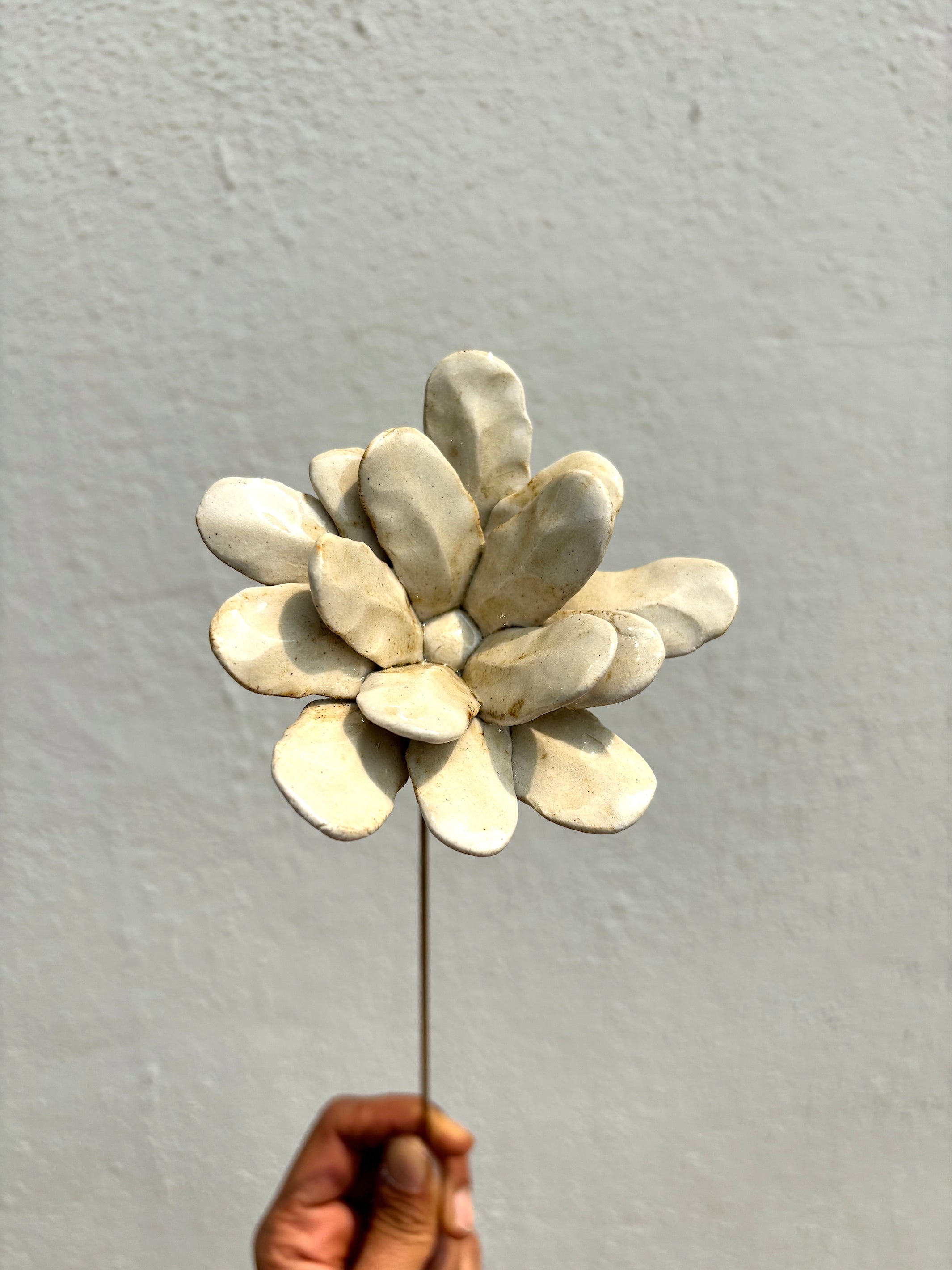 Soft Flame Muddy White - Single Flower Stem