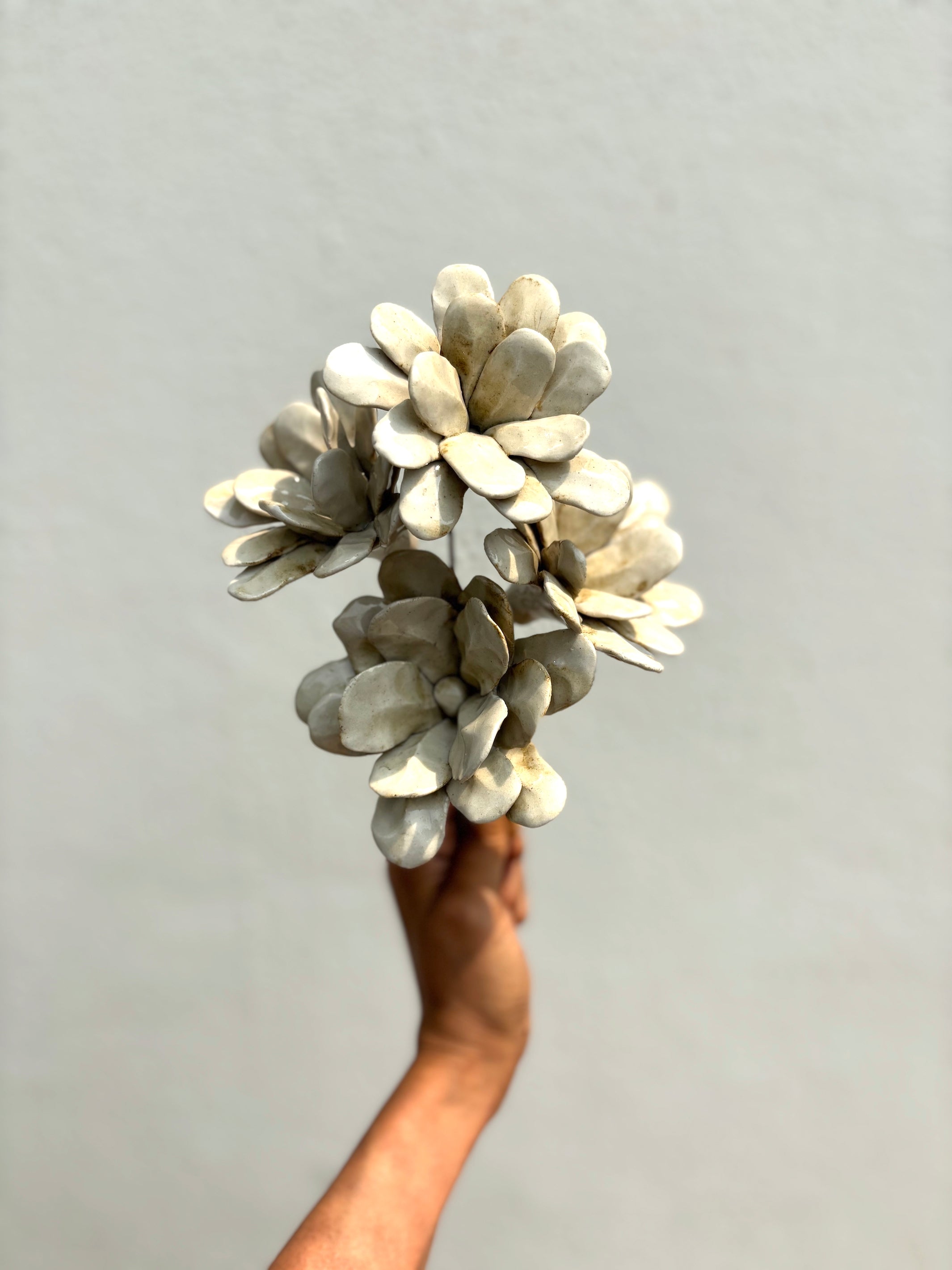 Soft Flame Muddy White - Single Flower Stem