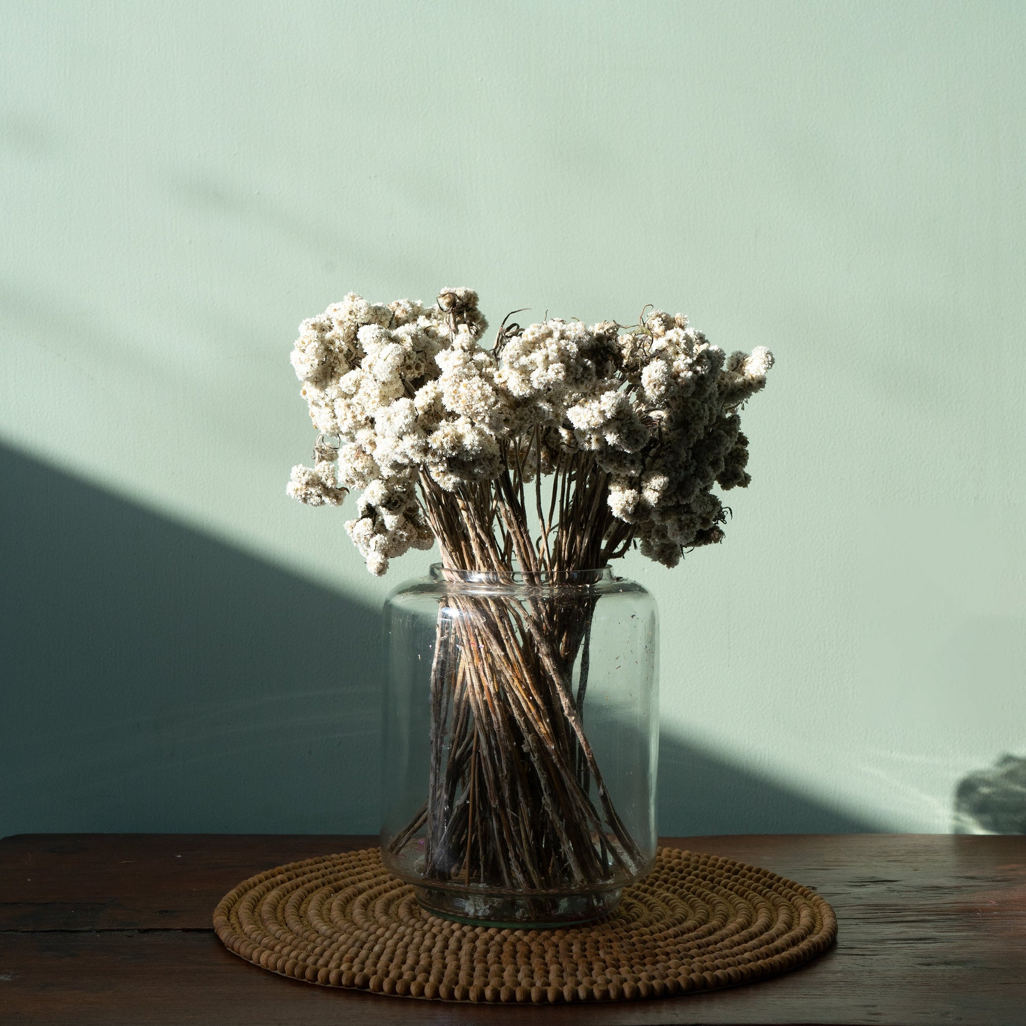 Natural Dried Daisy Flower Bunch