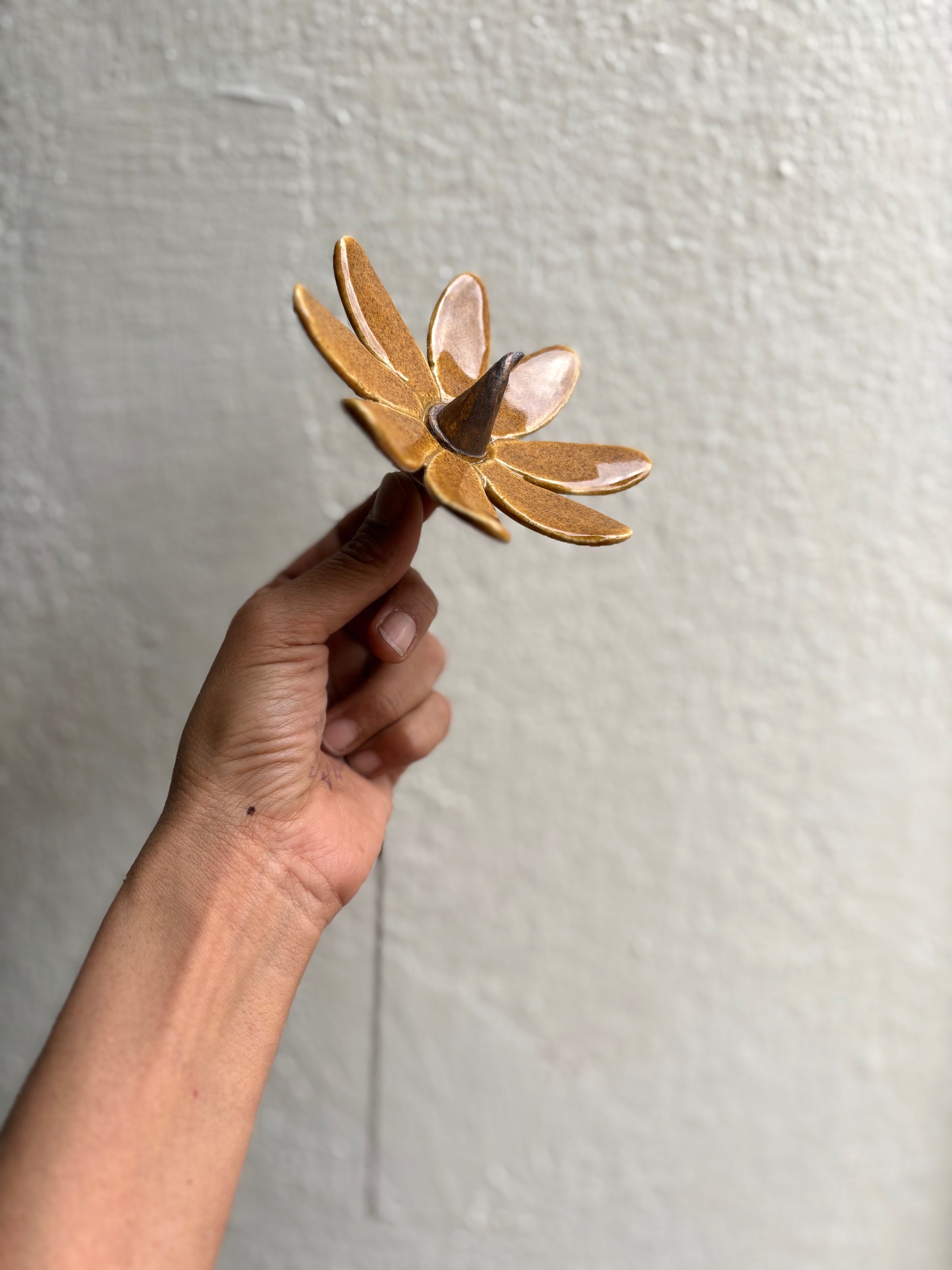 Sun Sprite - Mustard