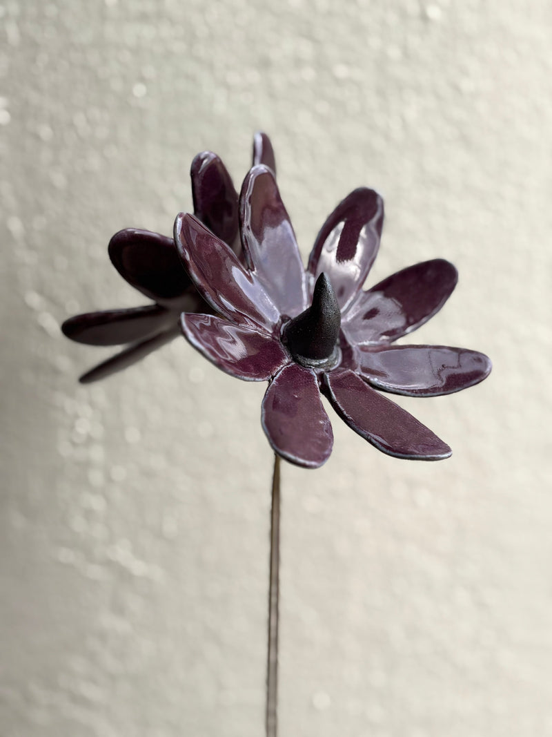 Sun Sprite - Purple
