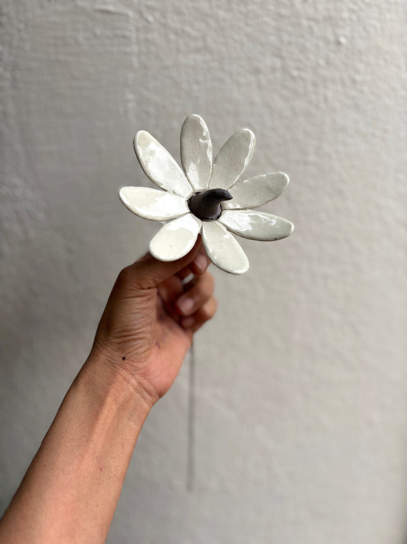 Sun Sprite - White