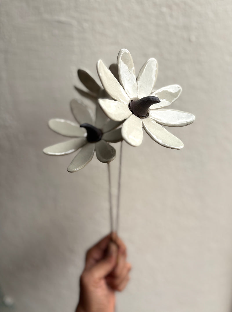 Sun Sprite - White