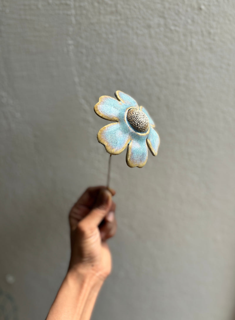 Sunrise - Baby Blue