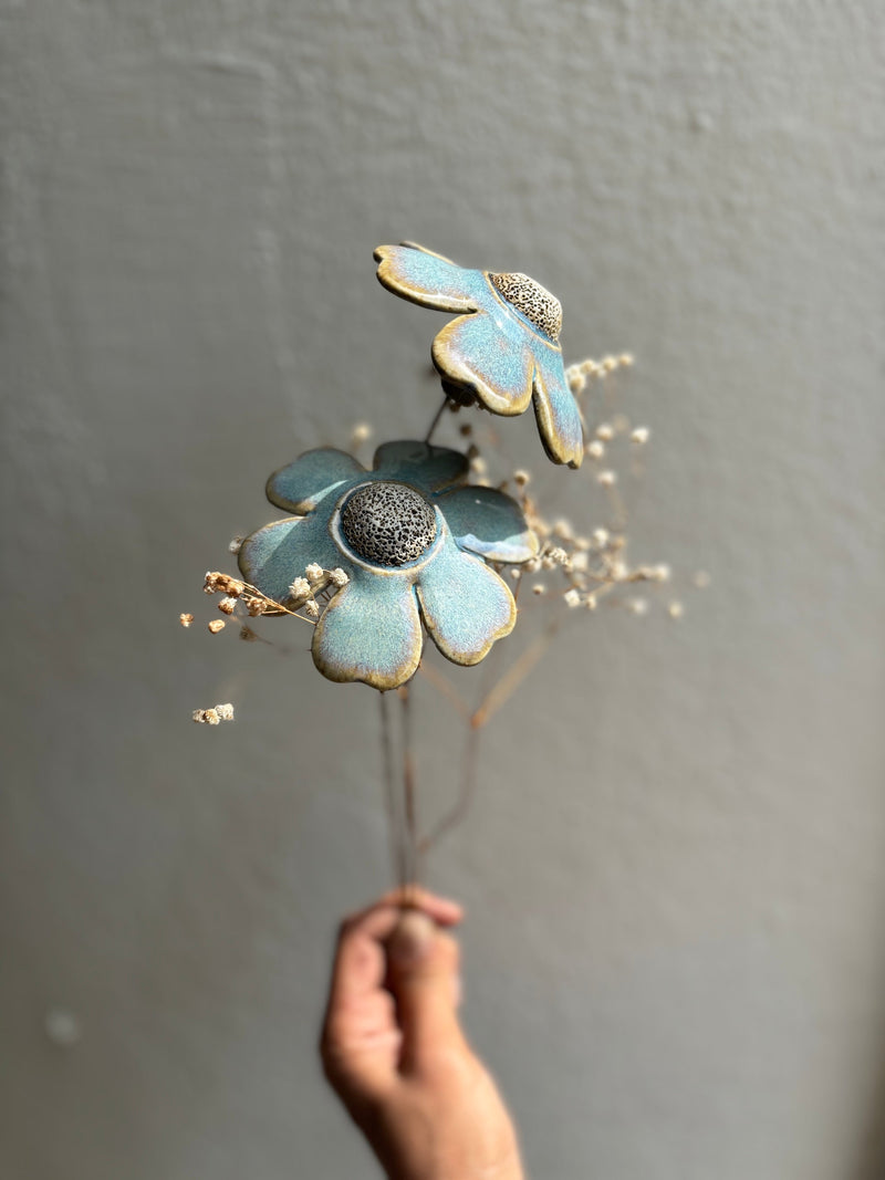 Sunrise - Baby Blue