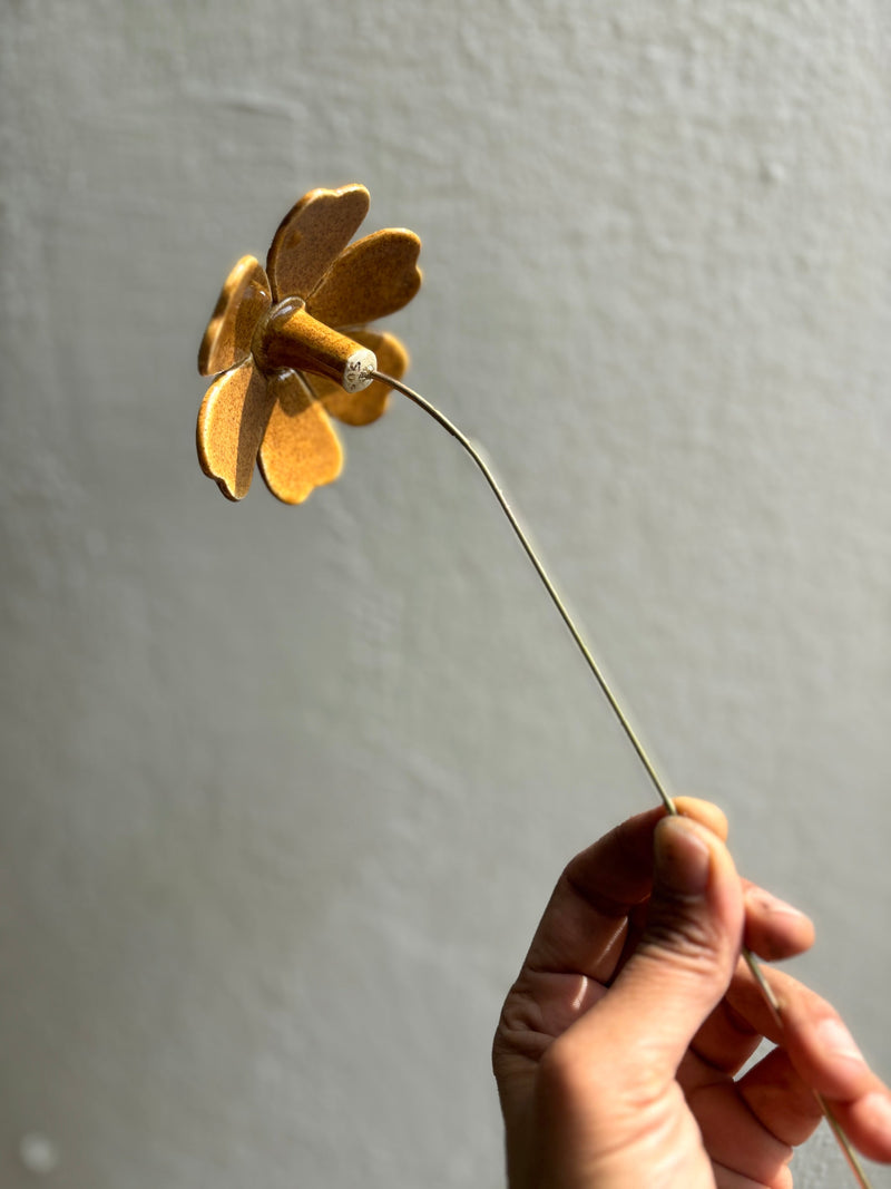 Sunrise - Mustard