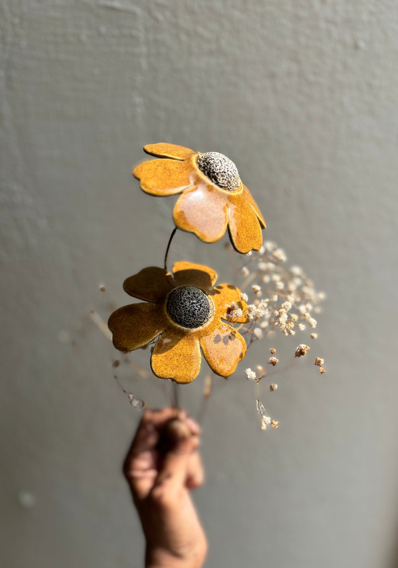 Sunrise - Mustard