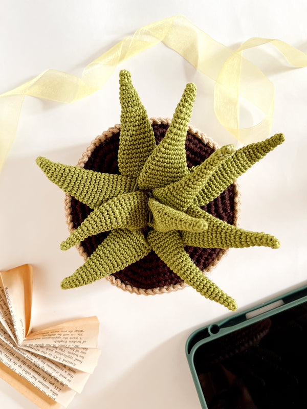 Crochet Aeonium succulent