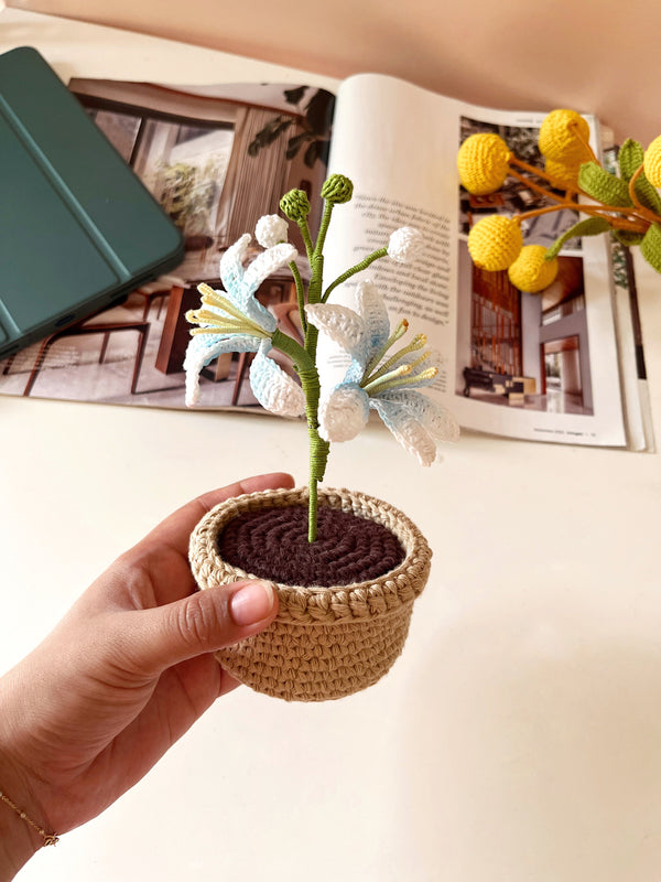 Crochet Lucifer Pot