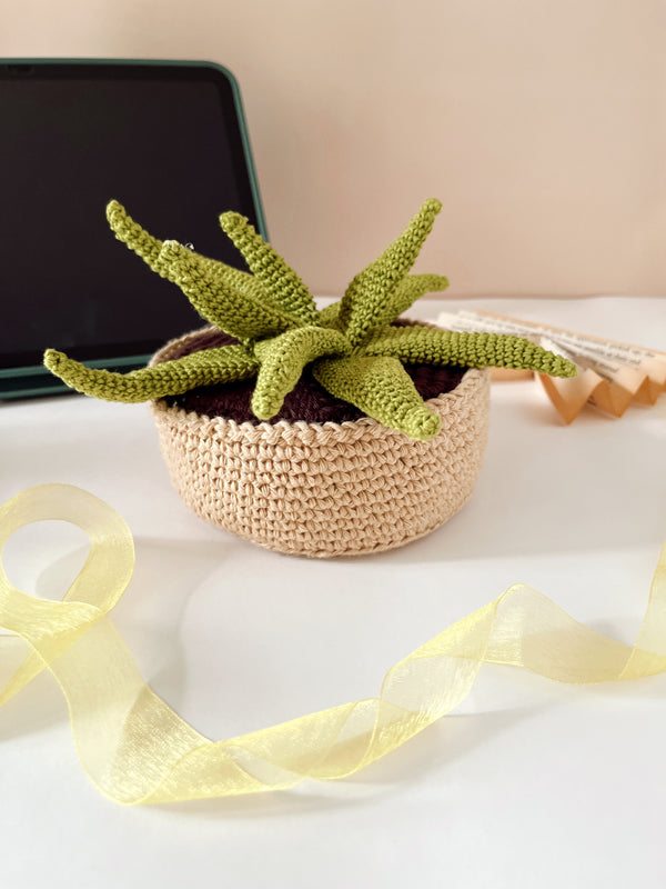 Crochet Aeonium succulent