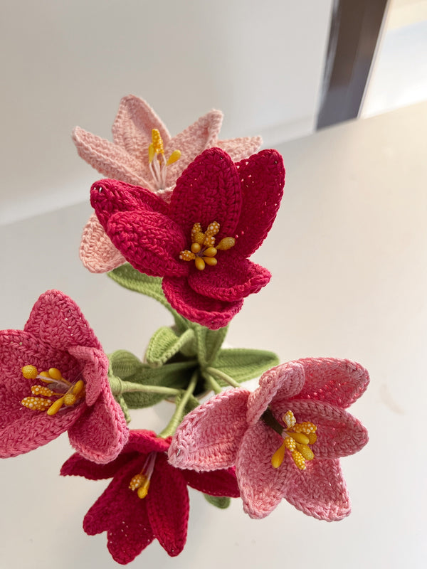 Tulip Flower