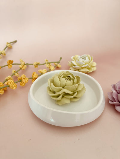 Concrete Flora Diffuser
