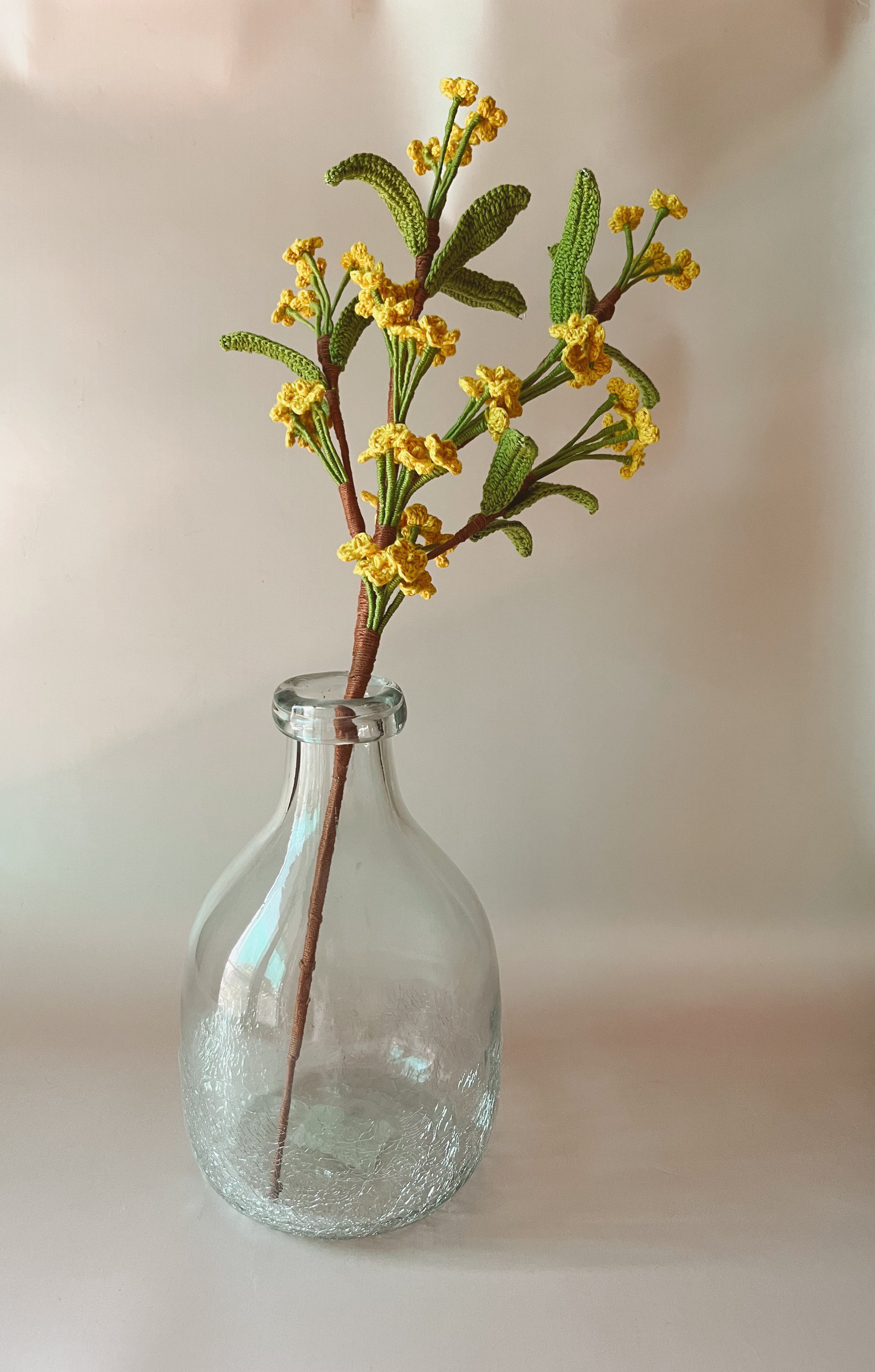 Crochet Golden Mimosa Steam