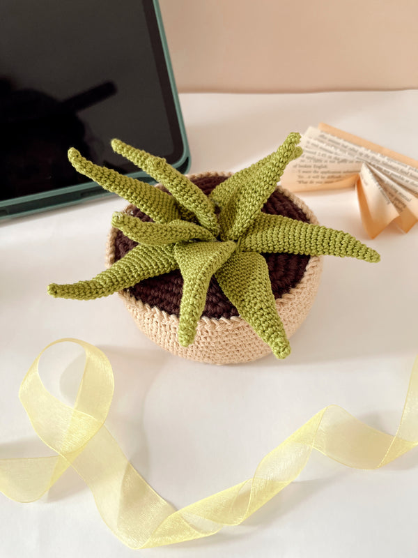 Crochet Aeonium succulent