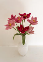 Tulip Flower