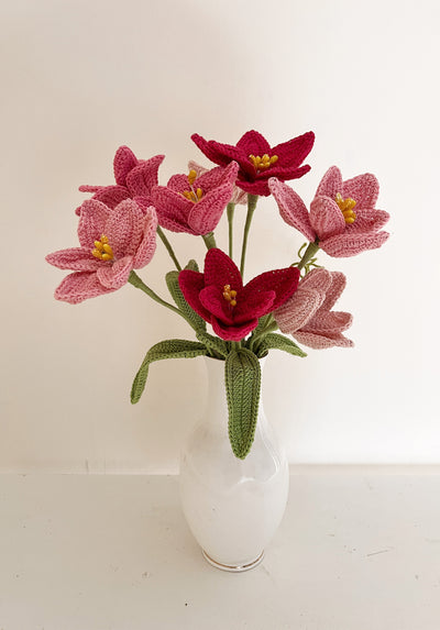 Tulip Flower
