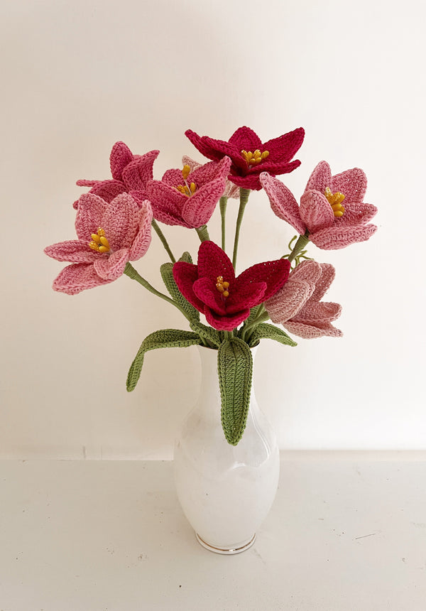 Tulip Flower