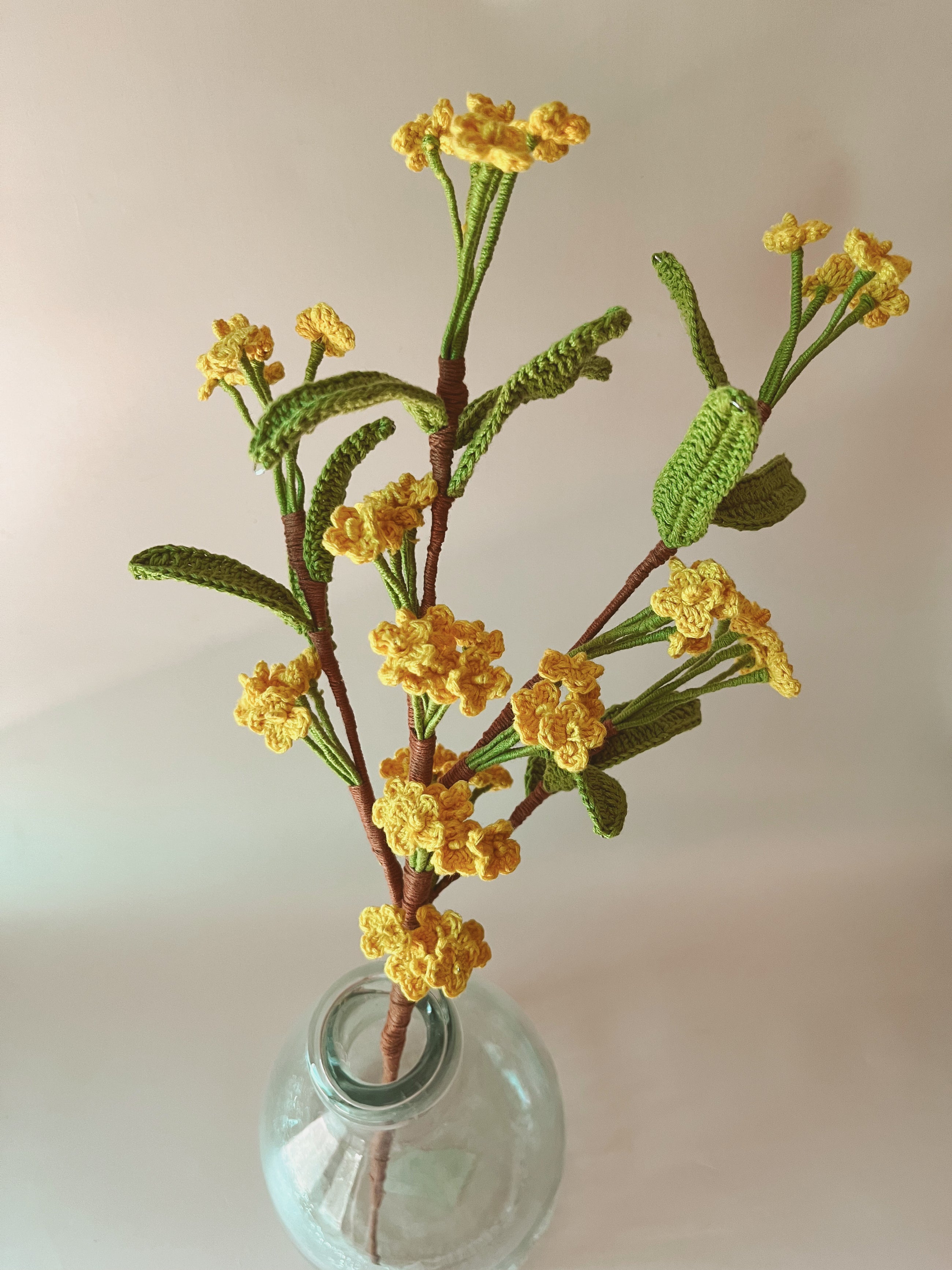 Crochet Golden Mimosa Steam