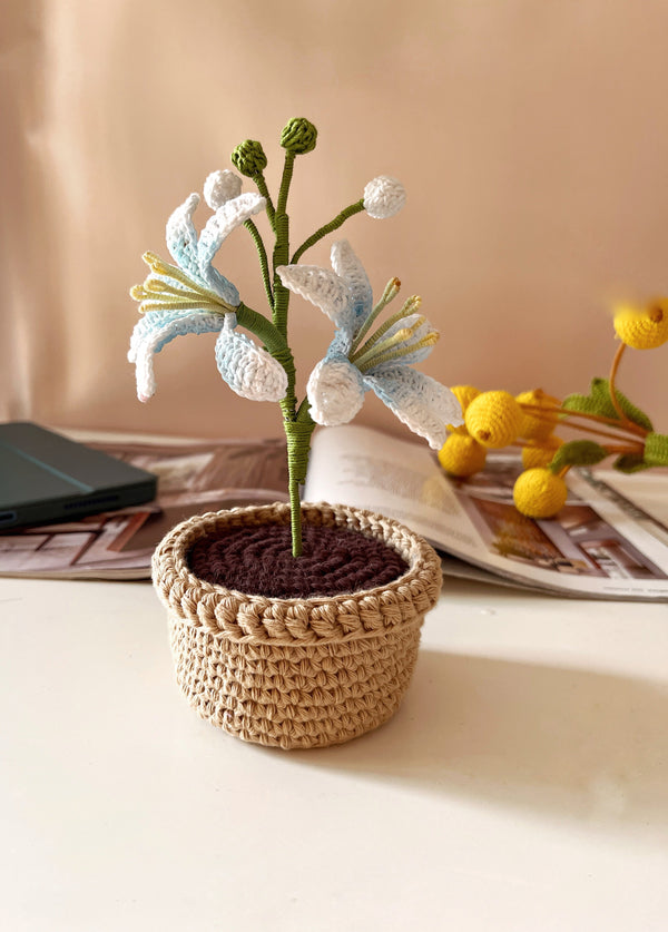Crochet Lucifer Pot