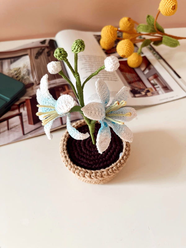 Crochet Lucifer Pot