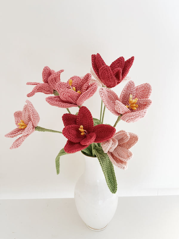 Tulip Flower