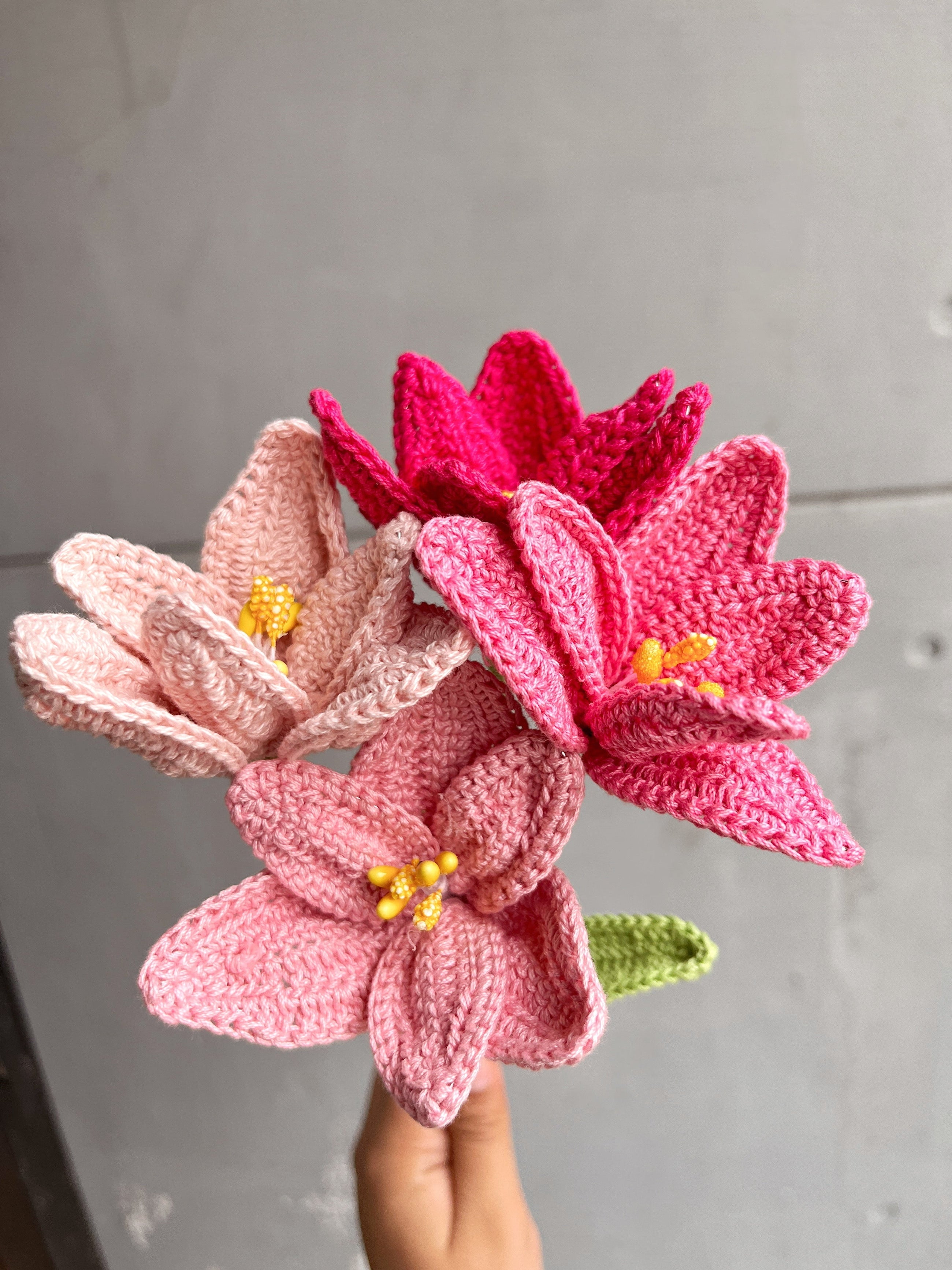 Tulip Flower