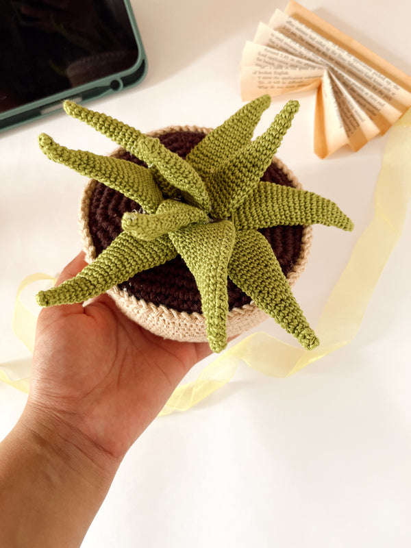 Crochet Aeonium succulent