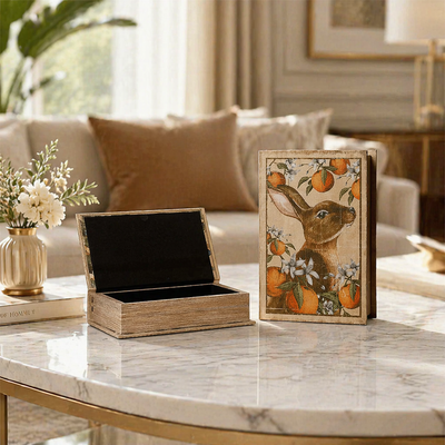 The Rabbit Book Box Set of 2