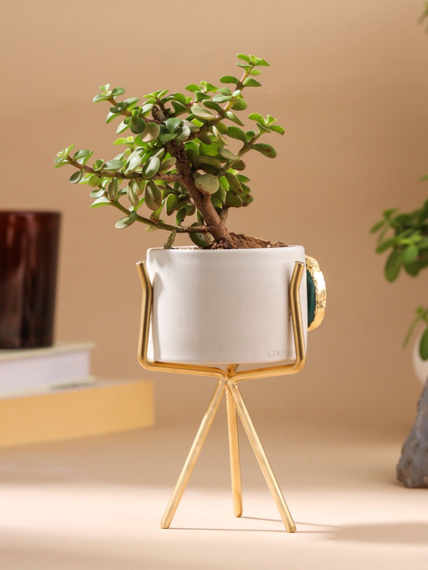 Agate Planter Green
