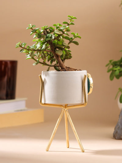 Agate Planter Green