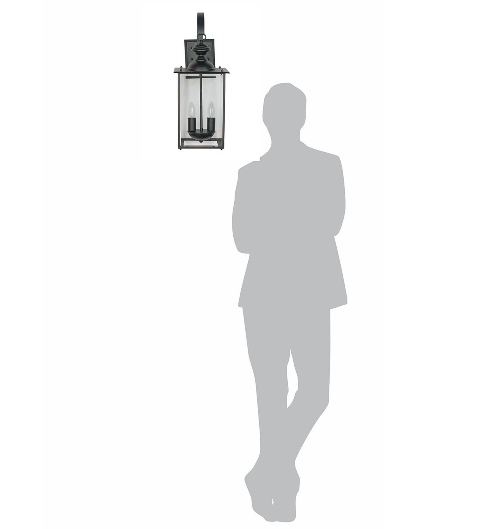 Transitional Black 2-Lights Glass Outdoor Hanging Wall Lamp