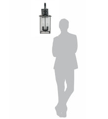 Transitional Black 2-Lights Glass Outdoor Hanging Wall Lamp