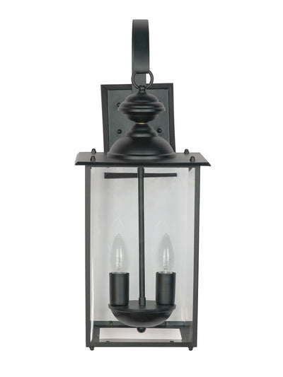 Transitional Black 2-Lights Glass Outdoor Hanging Wall Lamp