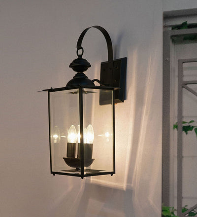 Transitional Black 2-Lights Glass Outdoor Hanging Wall Lamp