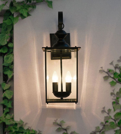 Transitional Black 2-Lights Glass Outdoor Hanging Wall Lamp