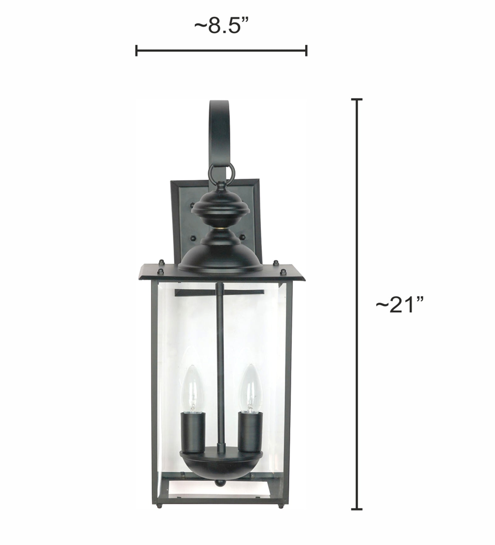 Transitional Black 2-Lights Glass Outdoor Hanging Wall Lamp