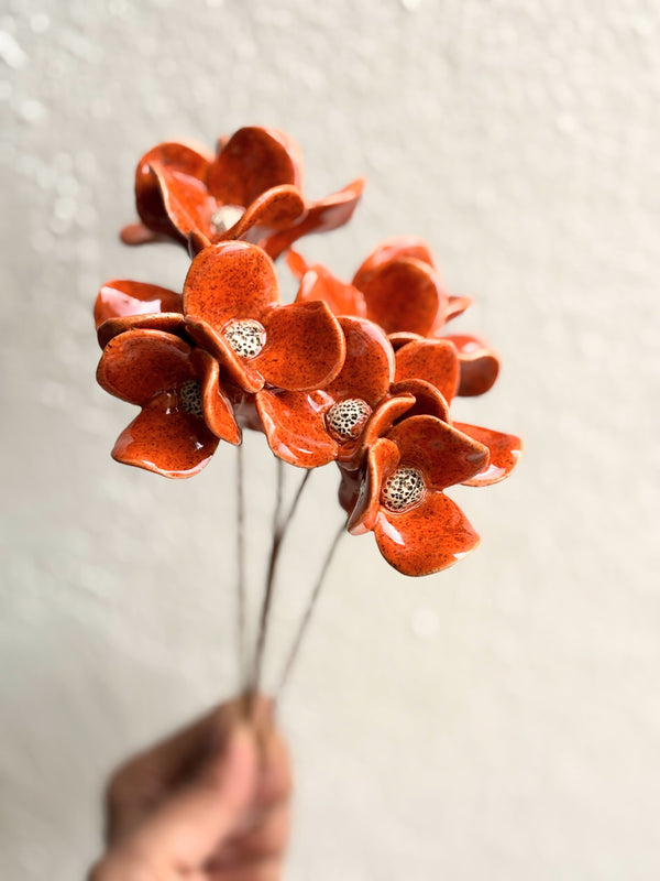 Trinity Orchid - Orange Single Stem