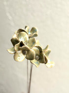 Trinity Orchid - Hazy Green Single Stem