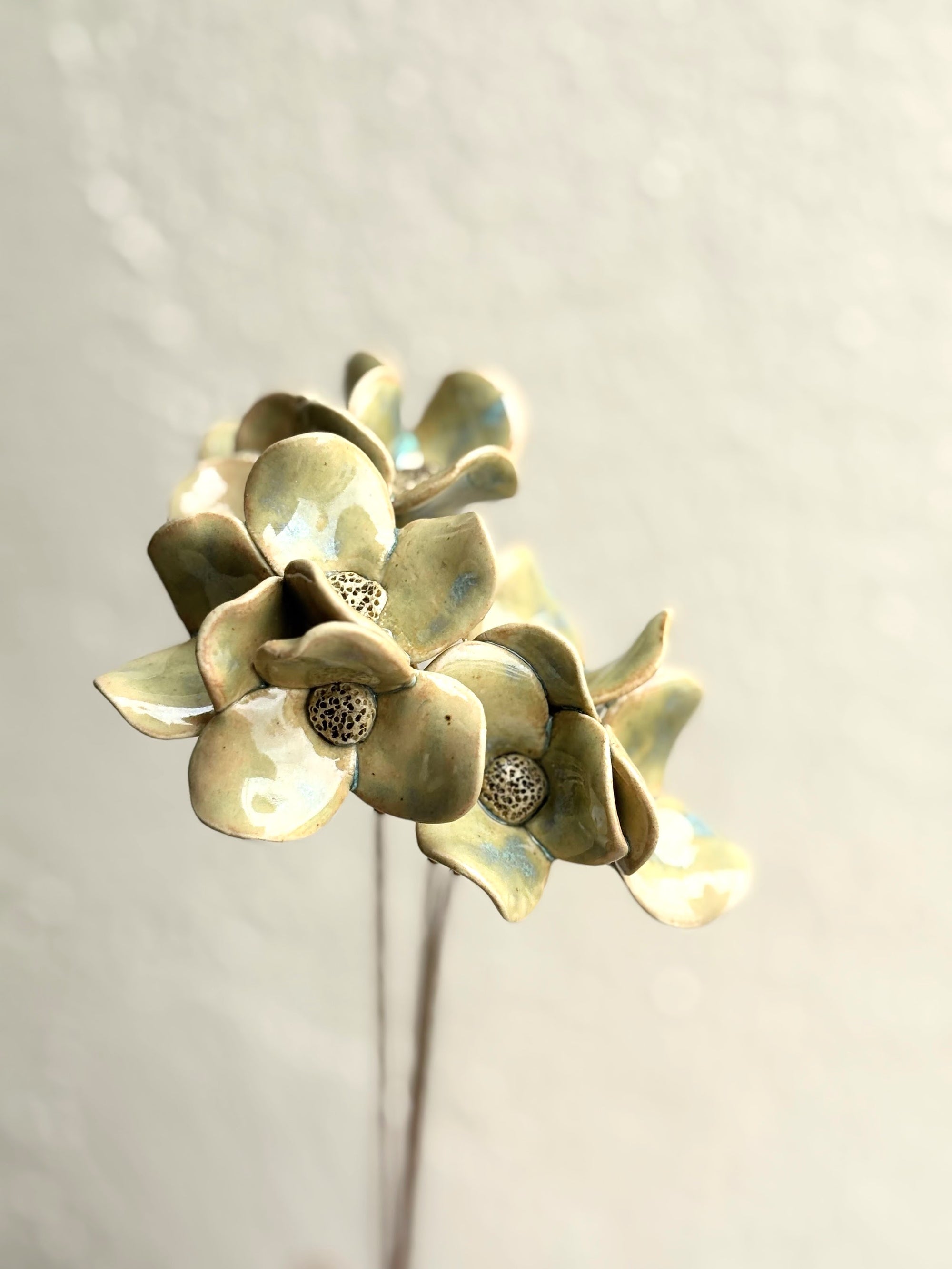 Trinity Orchid - Hazy Green Single Stem