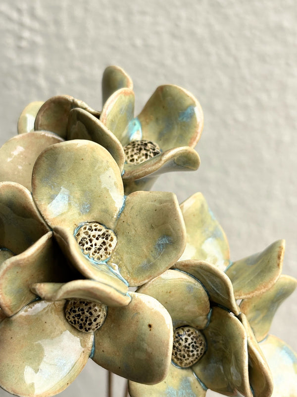 Trinity Orchid - Hazy Green Single Stem