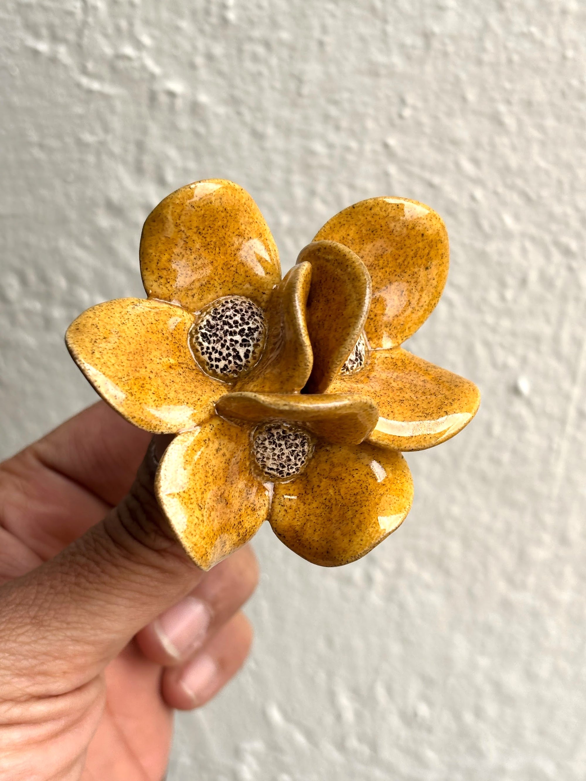 Trinity Orchid Mustard - Single Stem