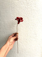 Trinity Orchid - Red Single Stem