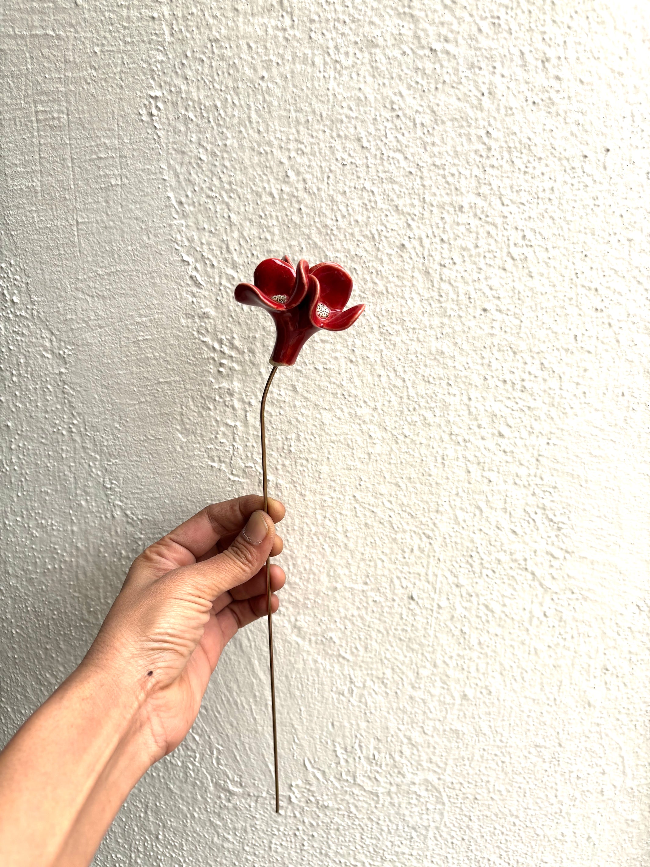 Trinity Orchid - Red Single Stem