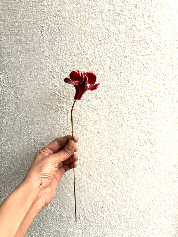 Trinity Orchid - Red Single Stem