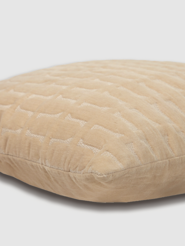 Twig Blush Embroidered Velvet Cushion Cover
